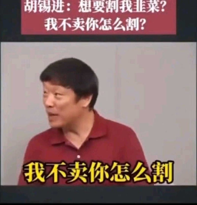 胡锡进评论