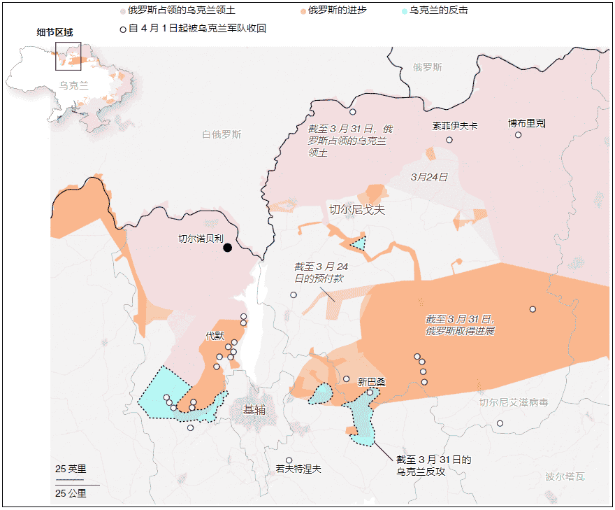 招财大牛猫历史文章_插图