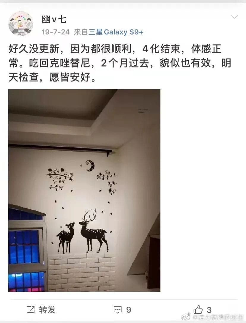 招财大牛猫历史文章_插图