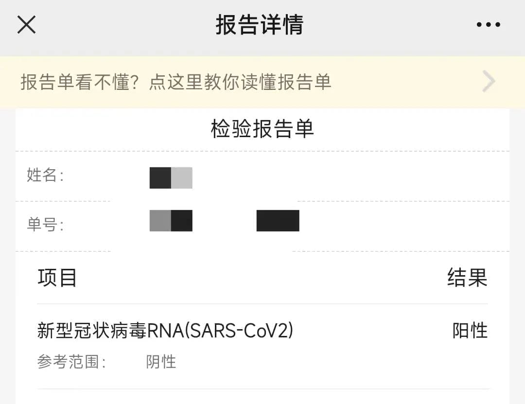 招财大牛猫历史文章_插图