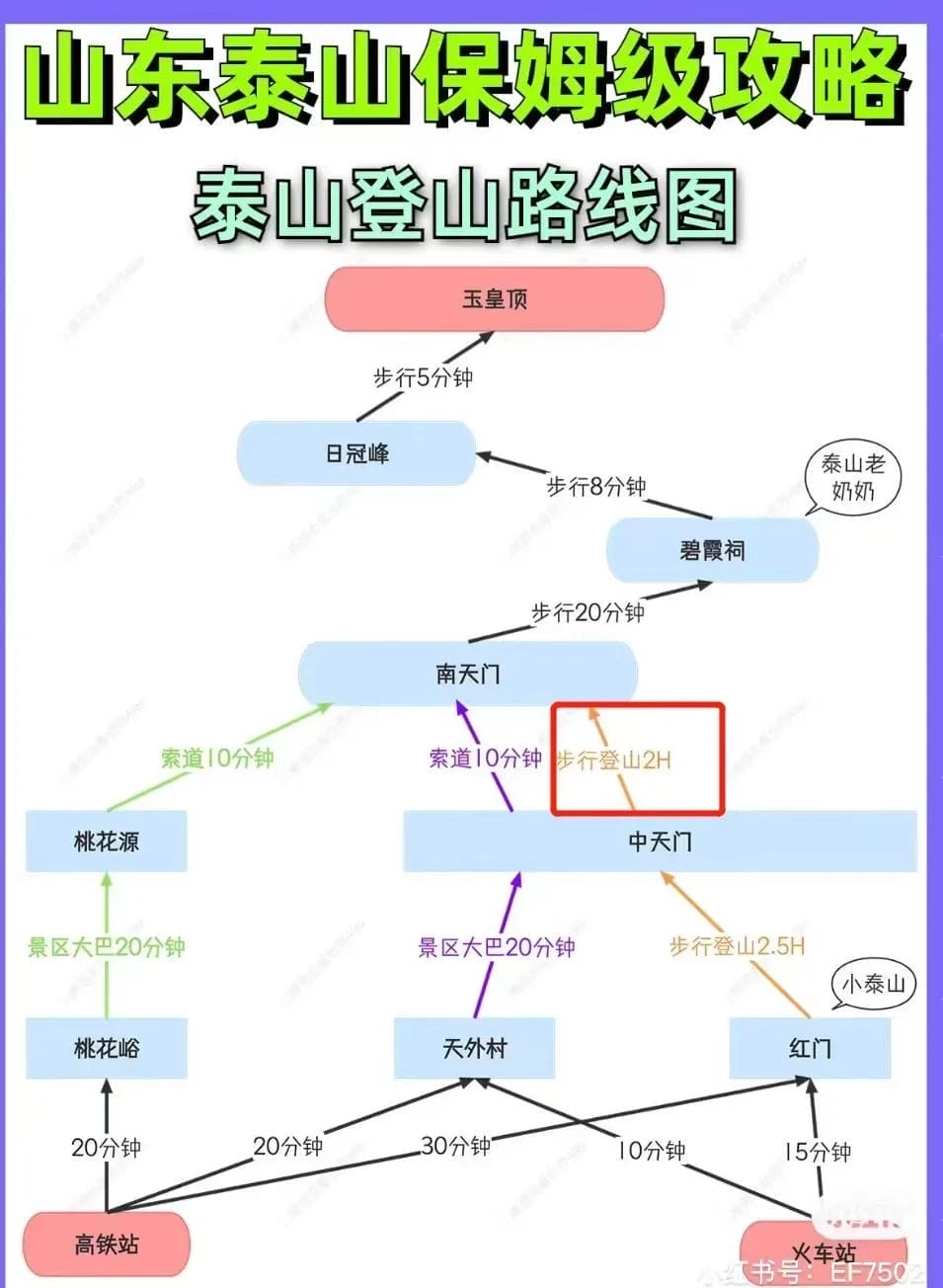 招财大牛猫历史文章_插图