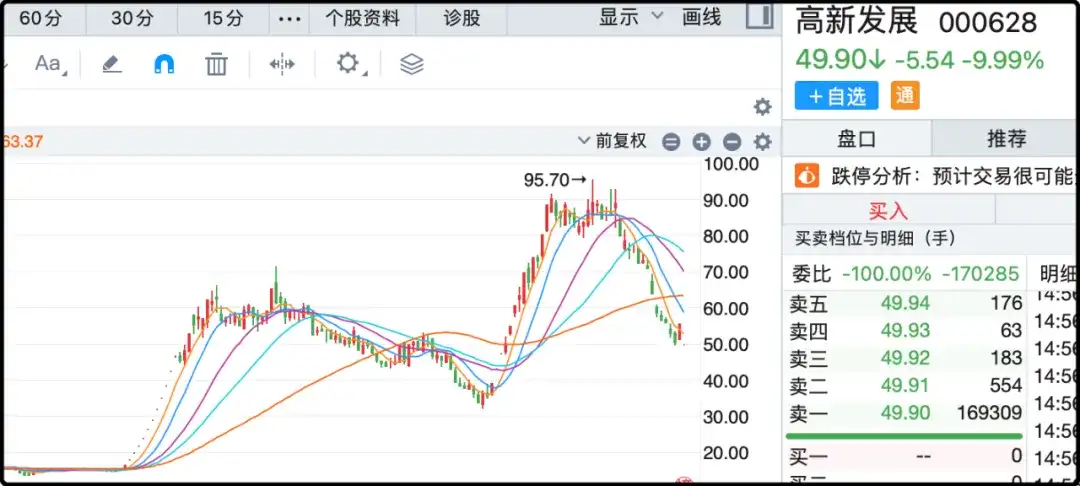 人气妖股高新发展跌停